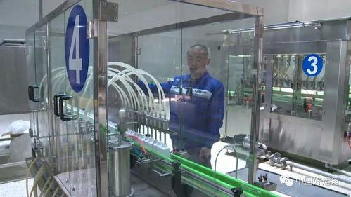 世代海洋 以计算机软件技术创新驱动企业高质量发展