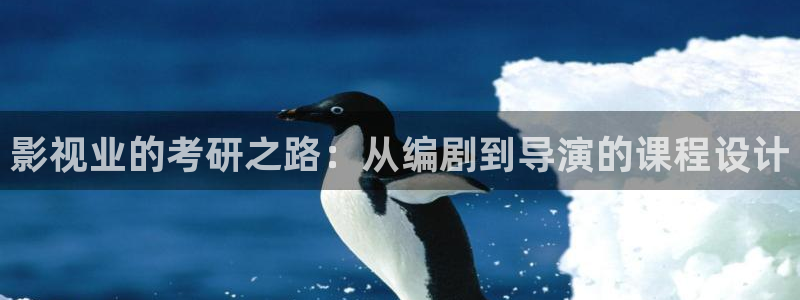 金桔 影视