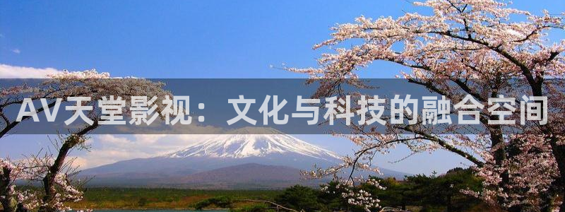金桔电影