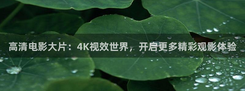 金桔tv