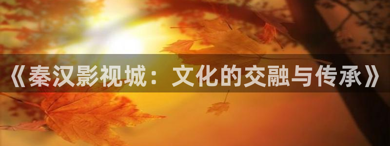 金桔影视app下载