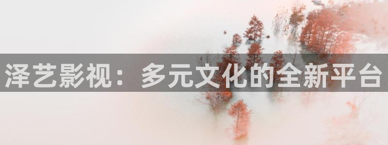 金桔电影网