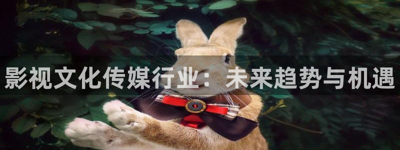 金桔种植视频