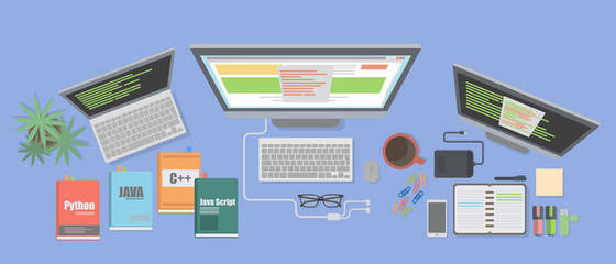 电子表编程器编码新项目 融合网站开发与编程技能的技术实践