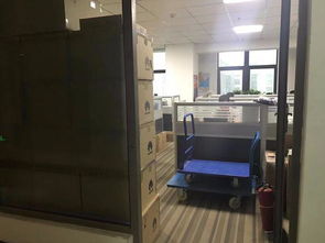 河北华讯 深耕计算机软件技术开发领域的企业解析