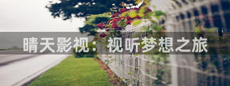 金桔视频：晴天影视：视听梦想之旅