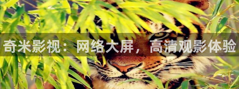 下载金桔影视：奇米影视：网络大屏，高清观影体验