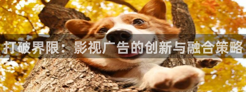 金桔柠檬做法视频：打破界限：影视广告的创新与融合策略