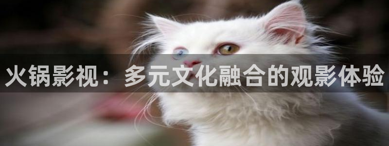 金桔影视在线观看：火锅影视：多元文化融合的观影体验