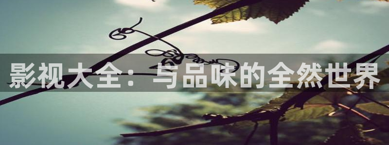 金桔视频：影视大全：与品味的全然世界