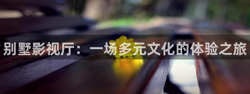 金桔视频：别墅影视厅：一场多元文化的体验之旅